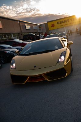 6II_9389.jpg