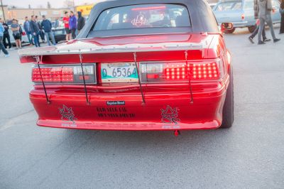 6II_9496.jpg