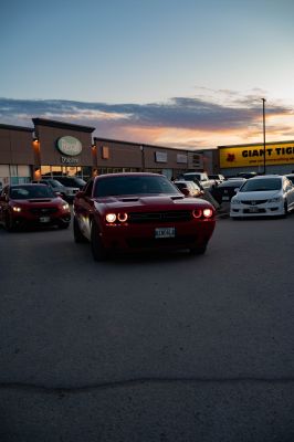 6II_9515.jpg
