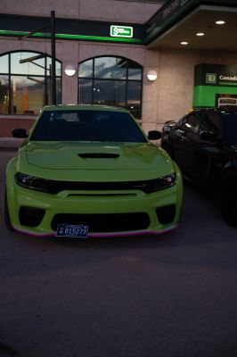 6II_9564.jpg